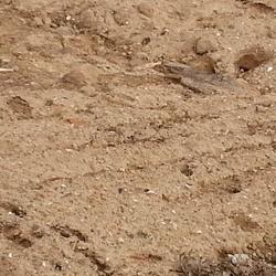 Trabajos de limpieza, restauración, recubrimiento con tierra vegetal y cierre de la escombrera de Cubo de la Solana