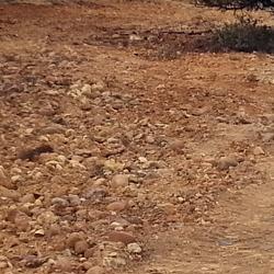 Trabajos de limpieza, restauración, recubrimiento con tierra vegetal y cierre de la escombrera de Cubo de la Solana