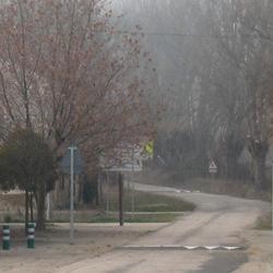 Reductores de velocidad &quot;Lomo de asno&quot; en Cubo de la Solana