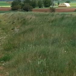 Atalaya La Torrejalba en la Ruta del Duero