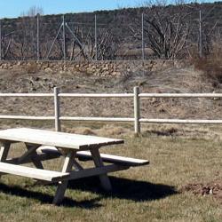 Nuevos árboles en Cubo de la Solana